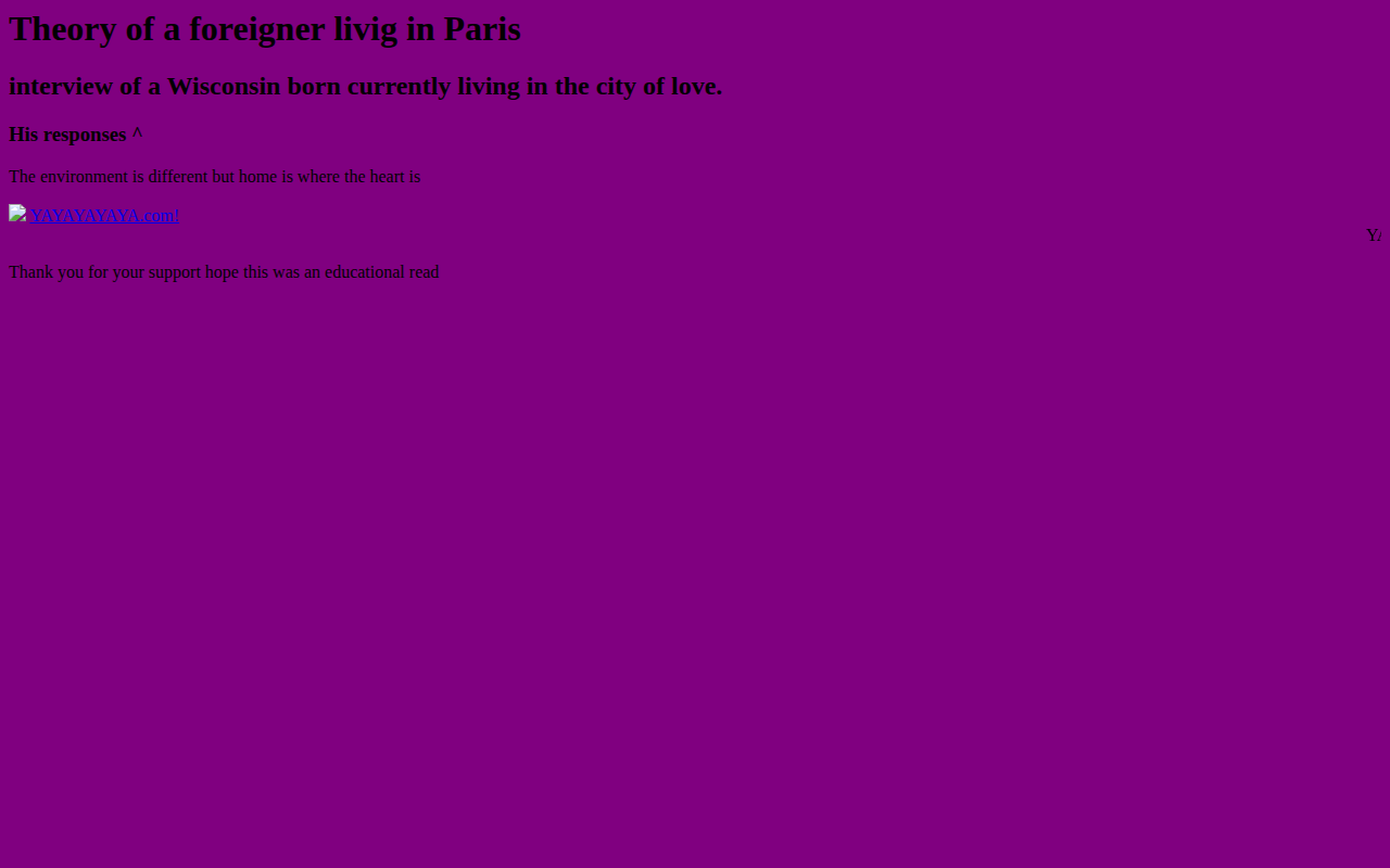 theoryofaforeignerlivinginparis screenshot